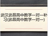 武汉武昌高中数学一对一补习(武昌高中数学一对一)