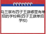 乌兰察布四子王旗哪里有单招的学校啊(四子王旗单招学校)