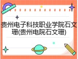 贵州电子科技职业学院石文珊(贵州电院石文珊)