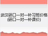 武汉硚口一对一补习班价格(硚口一对一补课价)