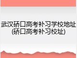 武汉硚口高考补习学校地址(硚口高考补习校址)