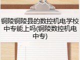 铜陵铜陵县的数控机电学校中专能上吗(铜陵数控机电中专)