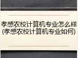 孝感农校计算机专业怎么样(孝感农校计算机专业如何)