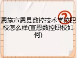 恩施宣恩县数控技术学校职校怎么样(宣恩数控职校如何)