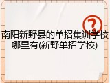 南阳新野县的单招集训学校哪里有(新野单招学校)