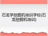 石龙学挖掘机培训学校(石龙挖掘机培训)