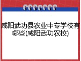 咸阳武功县农业中专学校有哪些(咸阳武功农校)