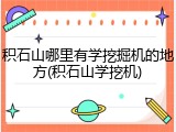 积石山哪里有学挖掘机的地方(积石山学挖机)