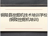 铜陵县挖掘机技术培训学校(铜陵挖掘机培训)