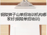 铜陵狮子山单招培训机构哪家好(铜陵单招培训)