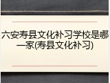 六安寿县文化补习学校是哪一家(寿县文化补习)