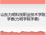 山东力明科技职业技术学院学费(力明学院学费)