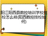阳江阳西县数控培训学校技校怎么样(阳西数控技校如何)