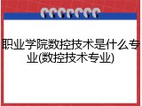职业学院数控技术是什么专业(数控技术专业)