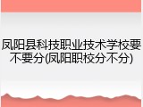 凤阳县科技职业技术学校要不要分(凤阳职校分不分)