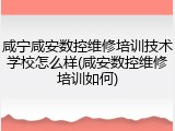 咸宁咸安数控维修培训技术学校怎么样(咸安数控维修培训如何)