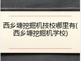 西乡塘挖掘机技校哪里有(西乡塘挖掘机学校)