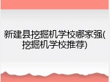 新建县挖掘机学校哪家强(挖掘机学校推荐)