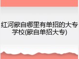 红河蒙自哪里有单招的大专学校(蒙自单招大专)
