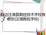 延边汪清县数控技术学校有哪些(汪清数控学校)
