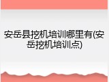 安岳县挖机培训哪里有(安岳挖机培训点)