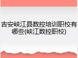 吉安峡江县数控培训职校有哪些(峡江数控职校)