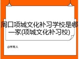 周口项城文化补习学校是哪一家(项城文化补习校)