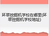 环翠挖掘机学校在哪里(环翠挖掘机学校地址)