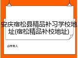 安庆宿松县精品补习学校地址(宿松精品补校地址)