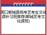 周口郸城县高考艺考生文化课补习班推荐(郸城艺考文化课班)