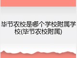 毕节农校是哪个学校附属学校(毕节农校附属)