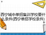 西宁城中单招集训学校要什么条件(西宁单招学校条件)