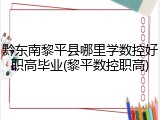 黔东南黎平县哪里学数控好职高毕业(黎平数控职高)