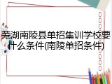 芜湖南陵县单招集训学校要什么条件(南陵单招条件)