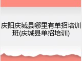 庆阳庆城县哪里有单招培训班(庆城县单招培训)