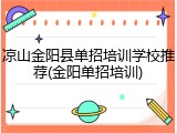 凉山金阳县单招培训学校推荐(金阳单招培训)