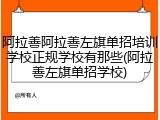 阿拉善阿拉善左旗单招培训学校正规学校有那些(阿拉善左旗单招学校)