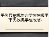 平舆县挖机培训学校在哪里(平舆挖机学校地址)