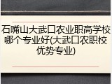 石嘴山大武口农业职高学校哪个专业好(大武口农职校优势专业)