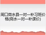 周口商水县一对一补习班价格(商水一对一补课价)