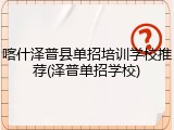 喀什泽普县单招培训学校推荐(泽普单招学校)