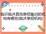 临沂临沭县找单招集训的机构有哪些(临沭单招机构)