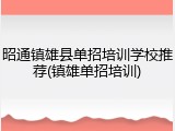昭通镇雄县单招培训学校推荐(镇雄单招培训)