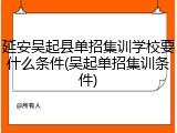 延安吴起县单招集训学校要什么条件(吴起单招集训条件)