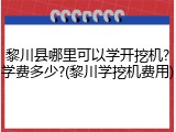 黎川县哪里可以学开挖机?学费多少?(黎川学挖机费用)