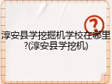 淳安县学挖掘机学校在哪里?(淳安县学挖机)