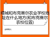 塔城和布克赛尔农业学校地址在什么地方(和布克赛尔农校位置)
