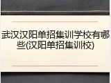 武汉汉阳单招集训学校有哪些(汉阳单招集训校)