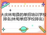 大庆林甸县的单招培训学校排名(林甸单招学校排名)