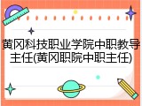黄冈科技职业学院中职教导主任(黄冈职院中职主任)